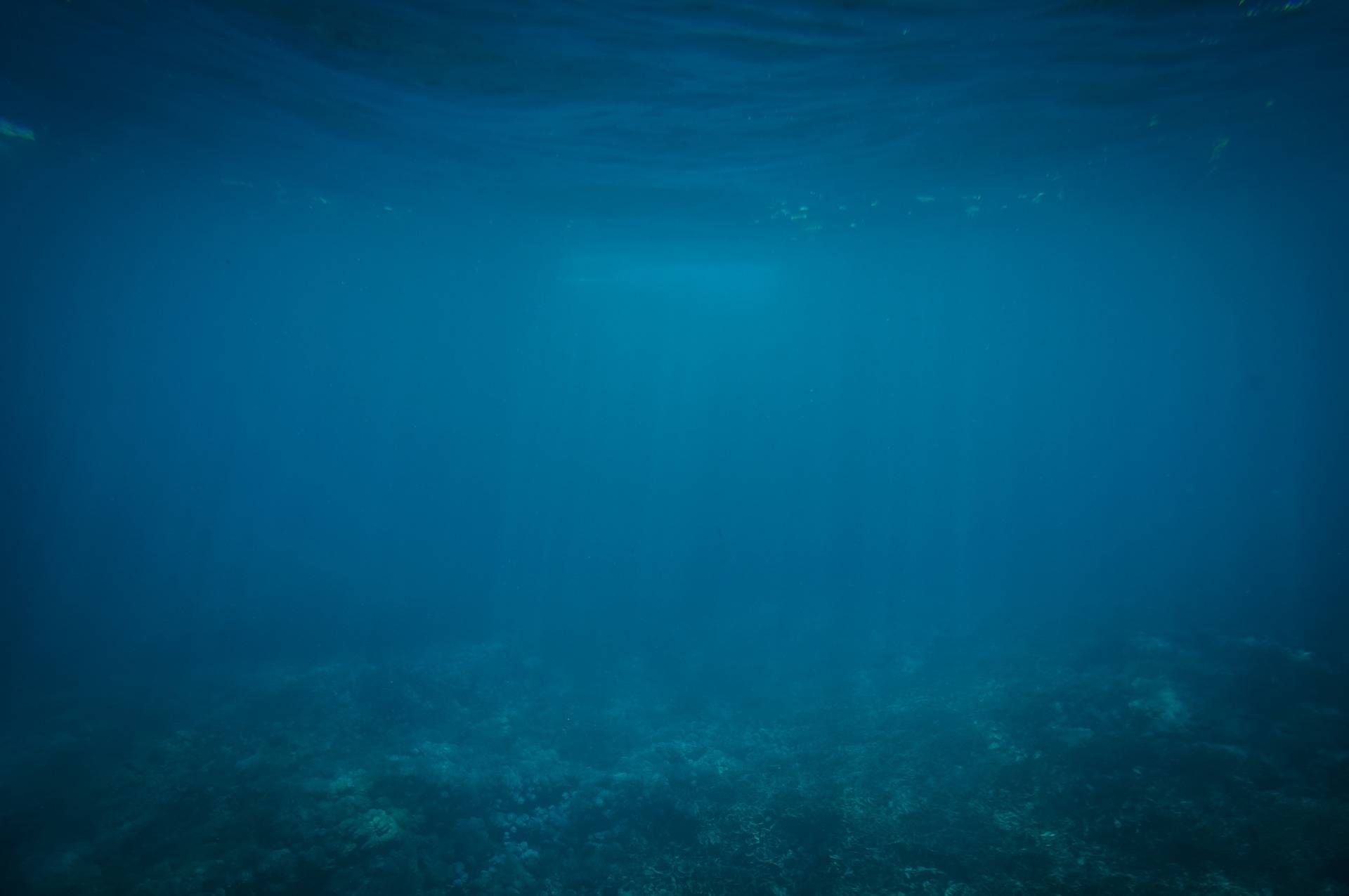 探测溶于水的二氧化碳浓度，可以探勘存在于表层海床的可燃冰